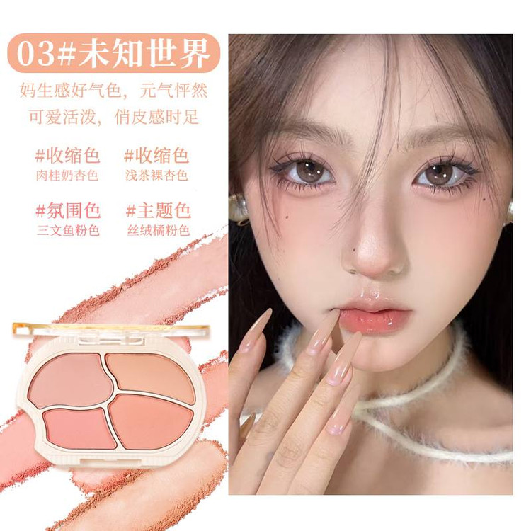رژگونه پودری چهار رنگ 703 شی شی XIXI